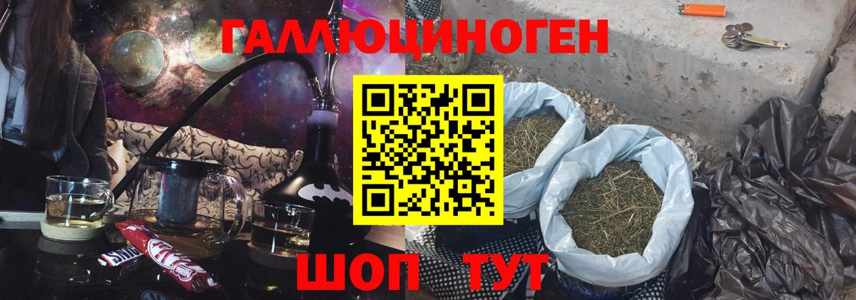 магазин продажи наркотиков  Вход с VPN  Галлюциногенные грибы мицелий  Заводоуковск  Псилоцибиновые грибы мухоморы 